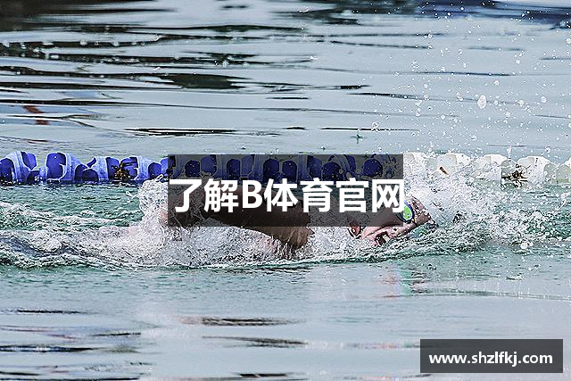 了解B体育官网
